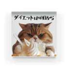 ビビりな番犬くんのダイエットは明日から猫！ Acrylic Block