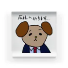 PHOTO LABOの新米犬社員　佐藤くん Acrylic Block