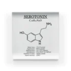アタマスタイルのセロトニン(精神安定・感情コントロール)：化学：化学構造・分子式 Acrylic Block