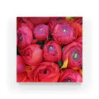 mayblueのred peony Acrylic Block