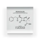 アタマスタイルのペニシリン(青カビに含まれる抗生物質・感染症に対応）：化学：化学構造・分子式 アクリルブロック