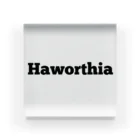 shooot07のHaworthia アクリルブロック