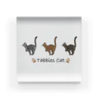 豆つぶのTabbies Cat（クラシック） アクリルブロック