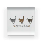 豆つぶのTabbies Cat（マッカレル） アクリルブロック