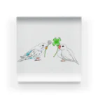 Lily bird（リリーバード）のセキセイインコと文鳥とクローバー フルカラー① Acrylic Block