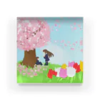 A＆OShopの想い桜の下で Acrylic Block