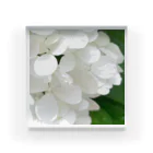 m.petite 8/1～creema store 二子玉川ライズの白紫陽花から落ちる雫 Acrylic Block