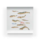 魚やの煮干しは空飛ぶ夢をみるか Acrylic Block