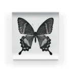 kob_666のbutterfly Acrylic Block