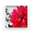 Flower-Flowerのダリア Acrylic Block