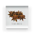 テイク コーポレーションのSTAR ANISE アクリルブロック