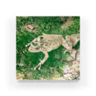 Fantastic FrogのFantastic Frog -Evergreen Version- Acrylic Block