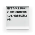 shikakunの速すぎてよく見えないけど、出会った瞬間に別れている。それを繰り返している。 アクリルブロック