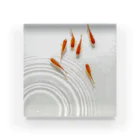 HOKO-ANの泳ぐ金魚 Acrylic Block