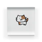 yuipppのしろちゃねこ Acrylic Block