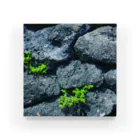 タマムシイロの石_自然の結晶 Acrylic Block