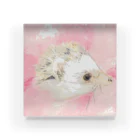 えきじょ。のiamHEDGEHOG!SAKURA Acrylic Block