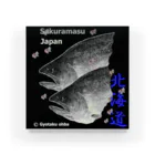 G-HERRINGのサクラマス！ 北海道（桜鱒；SAKURAMASU；桜）あらゆる生命たちへ感謝をささげます。 Acrylic Block