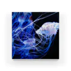 5/2のjellyfish Acrylic Block