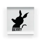 アメリカンベース のBERRY アクリルブロック