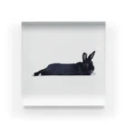 RabbitsのうさぎのSherry Acrylic Block