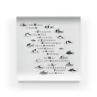 ぺんぎん丸のNo Corydoras No Life Acrylic Block