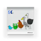 Kukkoの５G Acrylic Block