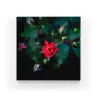 Takashi MUKAIのBlock-Rose03 Acrylic Block