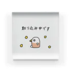 よんもじストリートのご自宅ペンギン「取り込み中です」 Acrylic Block