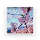 Aym'collectionの桜❀.*･ﾟ Acrylic Block