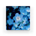 marihoのblue star Acrylic Block