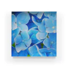 nyonyum☻の紫陽花 Acrylic Block