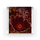hiroki-naraの芙蓉 DATA_P_154　Confederate Rose ハスの花の古名 Acrylic Block