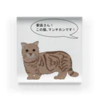 ぼくがいなくてもパーティーはつづくの駅員さん!この猫、マンチカンです! Acrylic Block