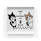 平田 莉紅@ココ&ルイちゃんのKEEP A DISTANCE OF 2 NyanS Acrylic Block