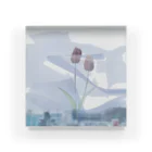 goodsのarchive 1 Acrylic Block