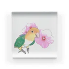 まめるりはことりのお花とシロハラインコちゃん【まめるりはことり】 Acrylic Block