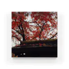 yukiowの嵐山の紅葉 Acrylic Block