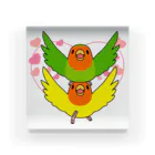 まめるりはことりのラブリーコザクラインコ【まめるりはことり】 Acrylic Block