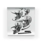 segasworksのTriceratops prorsus growth series Acrylic Block