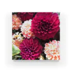 ayayan0555の情熱の花💕 Acrylic Block