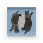 まごの踊るねこ Acrylic Block