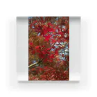 おのザ紅葉!! Acrylic Block