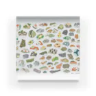 魚の目のお店の陶器片いろいろカラフル Acrylic Block