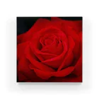 Takashi MUKAIのBlock-Photo-Rose02 Acrylic Block