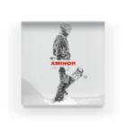 AMINOR (エーマイナー)のSNOWBOARDER Acrylic Block