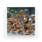 Golden Fish Farm OTOHIMEのOTOHIMEオリジナルグッズ Acrylic Block