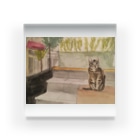 kosshuのイスタンブールの猫 Acrylic Block