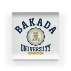 グラフィンのバカダ大学 BAKADA UNIVERSITY アクリルブロック