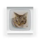 まあみのねこ Acrylic Block